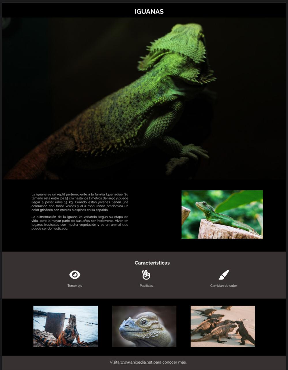 Proyecto 3 Iguana Page